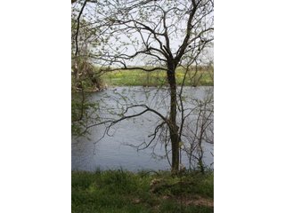 Property photo 12 - 438 +/- Acres Offered in 10 Tracts - Metcalf Farms - 6PM CST